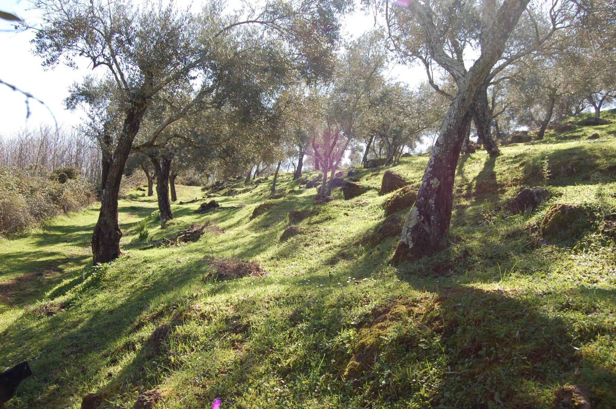 Los Pozos De La Nieve Constantina Exteriér fotografie